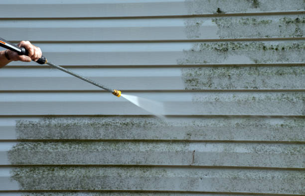 Best Fence Cleaning  in Johnston, IA